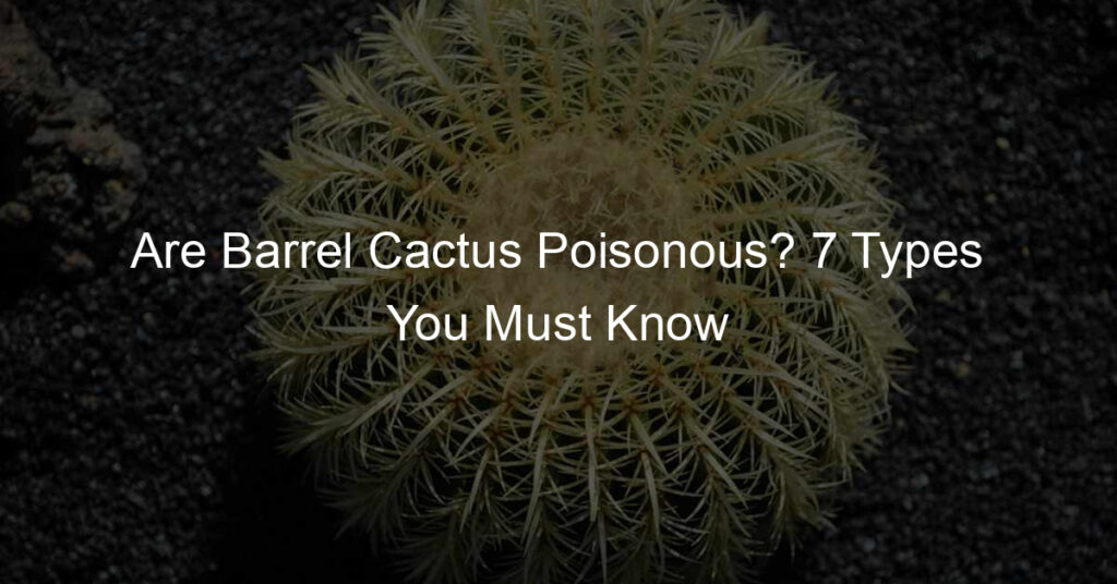 Are Barrel Cactus Poisonous?